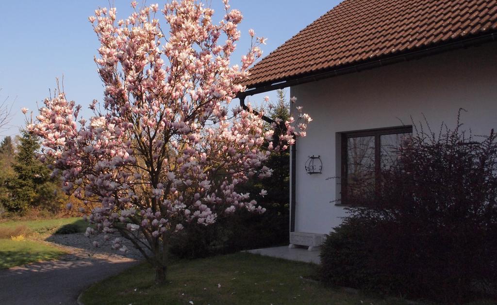 Apartmany Pod Kozakovem Tatobity Exterior foto