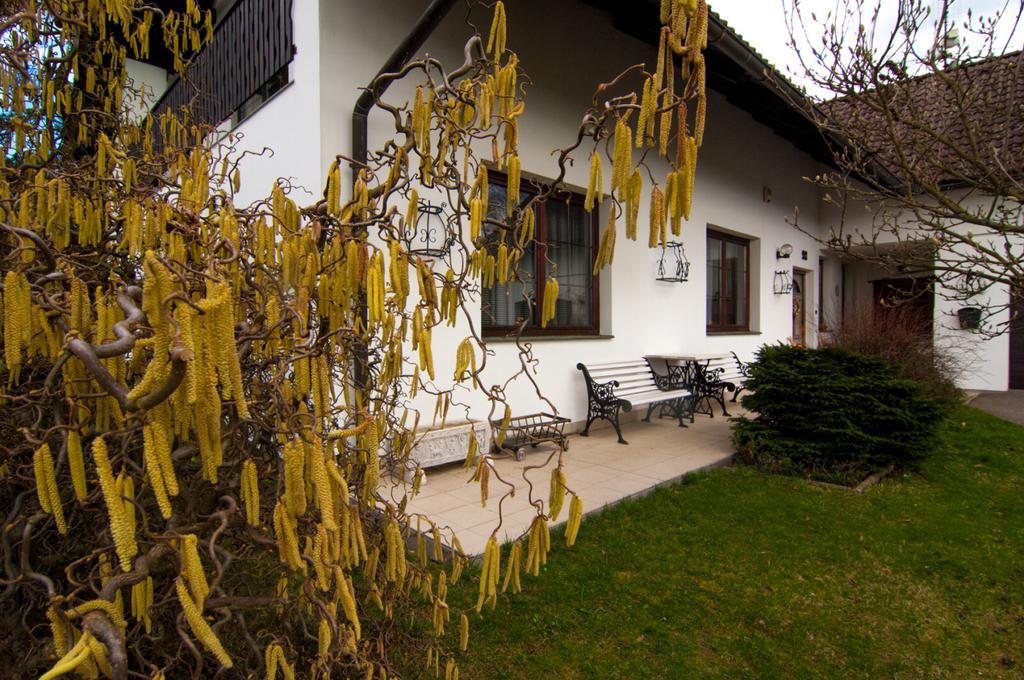 Apartmany Pod Kozakovem Tatobity Exterior foto